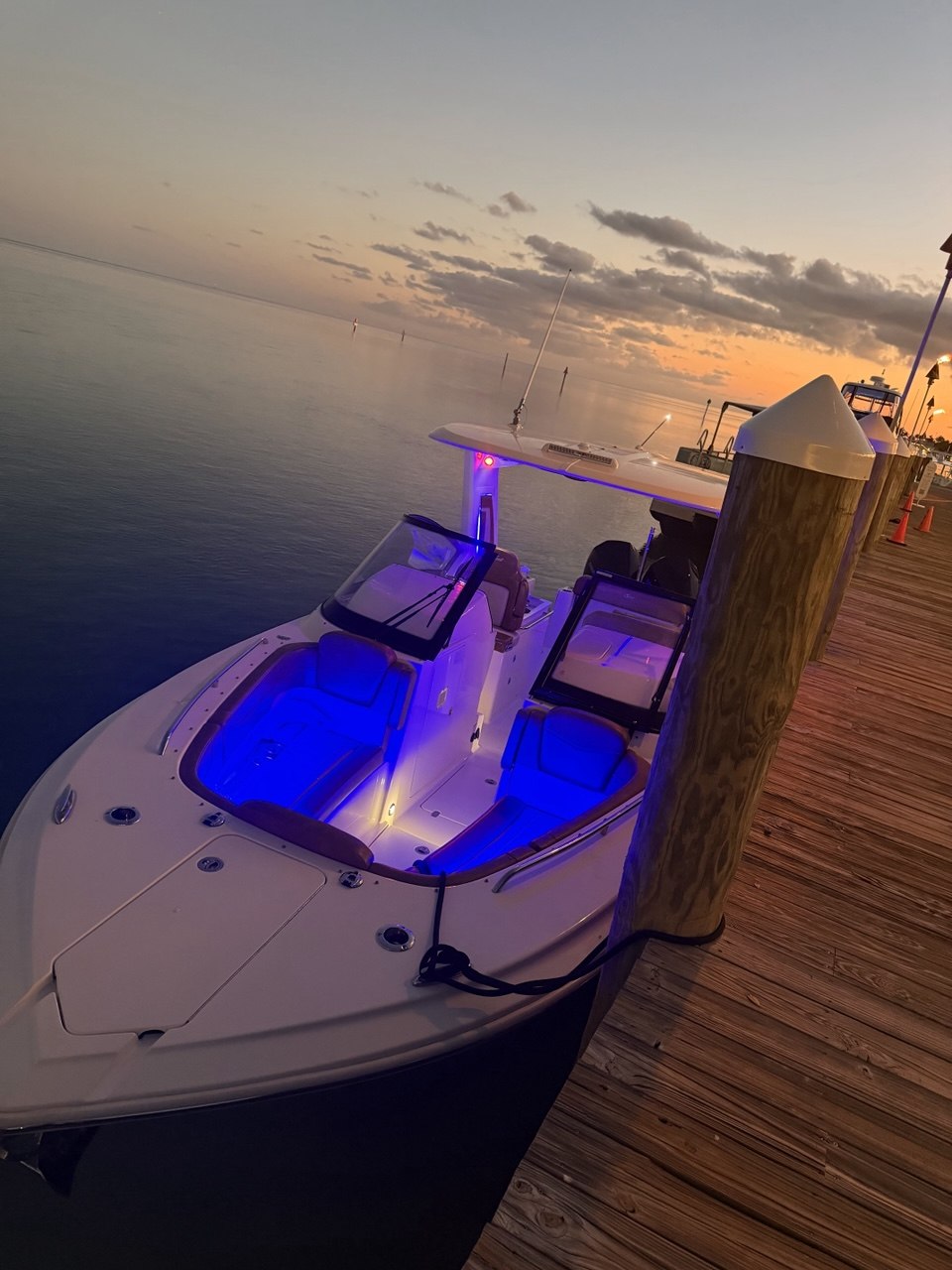 The Bougie Girl with LED lights at sunset in Islamorada